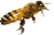 Flying Honeybee